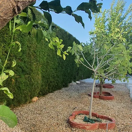 וילה Victoria 400 Meters To The *